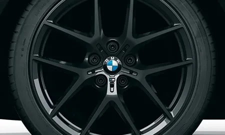 Bmw 1 Series 118D PURE BLACK (7M20)
