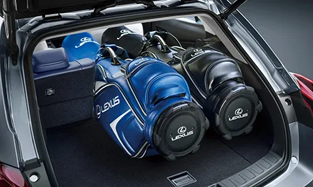 Lexus UX250H F SPORT (MZAH15)