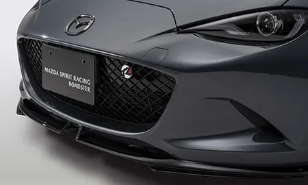 Mazda Roadster SPIRIT RACING ROADSTER (NDERE)
