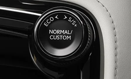 Lexus NX350H F SPORT (AAZH20)