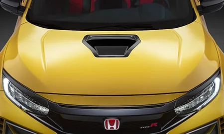 Honda Civic TYPE R LIMITED EDITION (FK8)