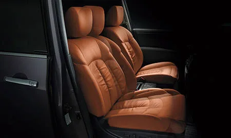 Nissan Elgrand 250HIGHWAY STAR S JET BLACK URBAN CHROME (TNE52)