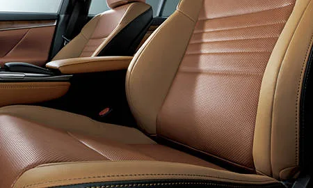 Lexus GS300H BLACK SEQUENCE (AWL10)