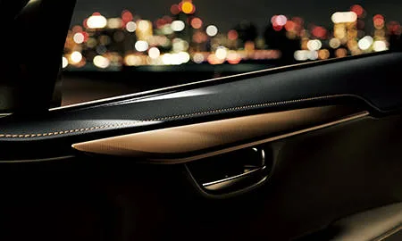 Lexus NX300 BRONZE EDITION (AGZ15)