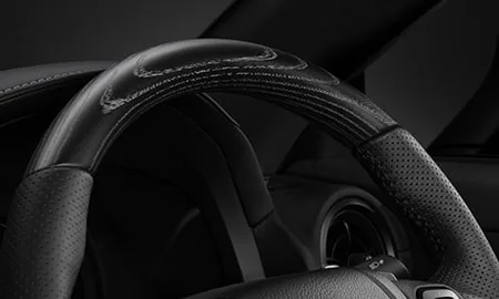 Lexus IS300 F SPORT MODE BLACK IV (ASE30)