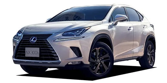 Lexus NX300H I PACKAGE (AYZ10 / AYZ15)