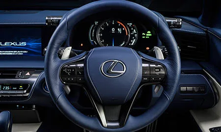 Lexus LC500 STRUCTURAL BLUE (URZ100)