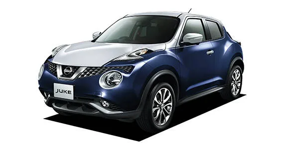 Nissan Juke 15RX V SELECTION DRESS UP (F15 / NF15 / YF15)