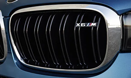Bmw X6 M BASE GRADE (KT44)