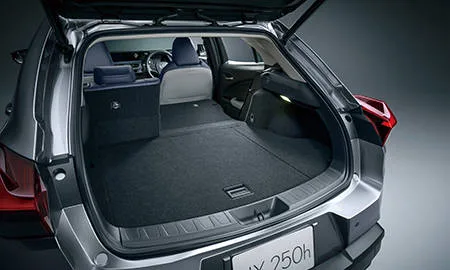 Lexus UX250H F SPORT (MZAH15)