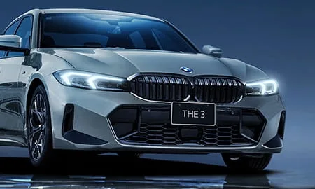 Bmw 3 Series 318I TOURING EDITION SHADOW (6K20 / 6L20)