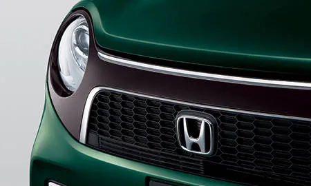 Honda None PREMIUM SS BROWN STYLE PACKAGE (JG1)