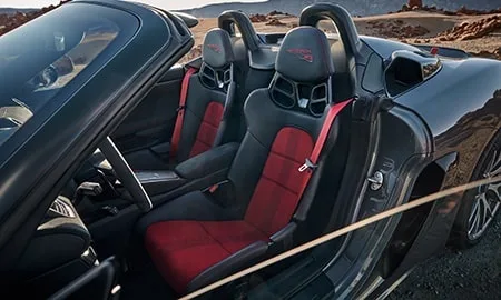Porsche 718 Spyder RS ()