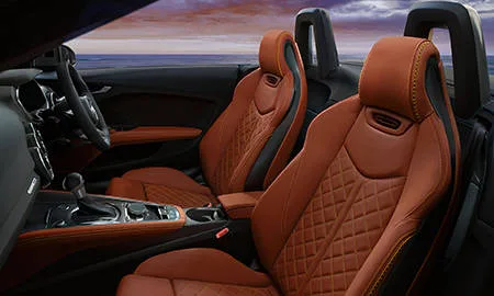 Audi TT Roadster FINAL EDITION (FVCHHF)