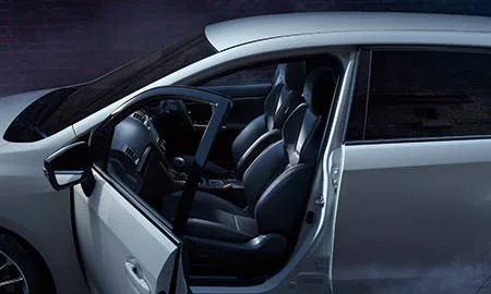 Subaru Levorg 2.0STI SPORT EYE SIGHT BLACK SELECTION (VMG)