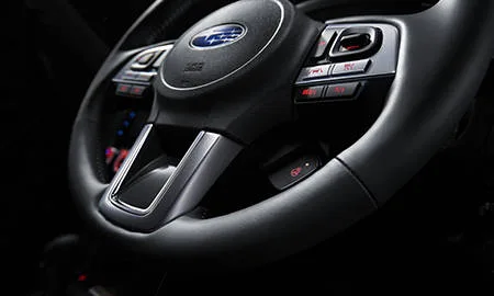 Subaru Forester S-LIMITED BROWN LEATHER SELECTION (SJ5)
