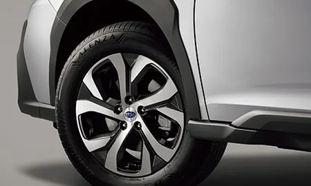 Subaru Legacy Outback X-BREAK EX (BT5)