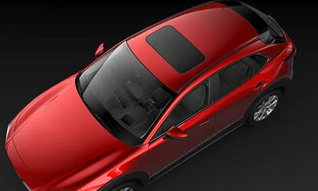 Mazda CX30 X L PACKAGE (DMFP)