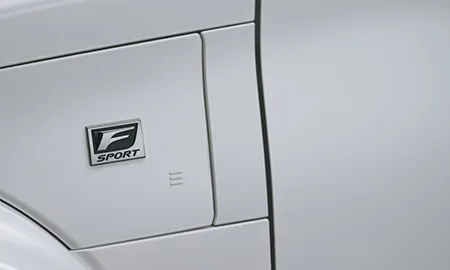 Lexus RZ600E F SPORT PERFORMANCE (XEBM25)