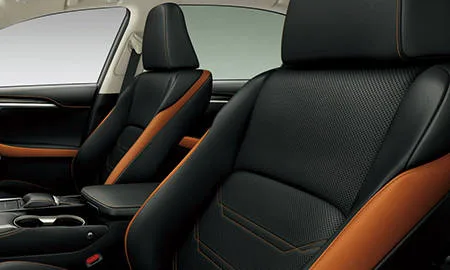 Lexus NX300H F SPORT (AYZ10)