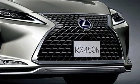 Lexus RX300 F SPORT (AGL20W)