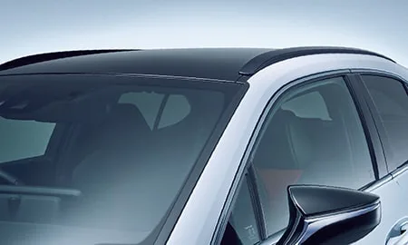 Lexus UX250H F SPORT EMOTIONAL EXPLORER (MZAH15)