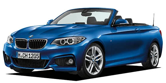 Bmw 2 Series 220I CABRIOLET M SPORT (1J20)