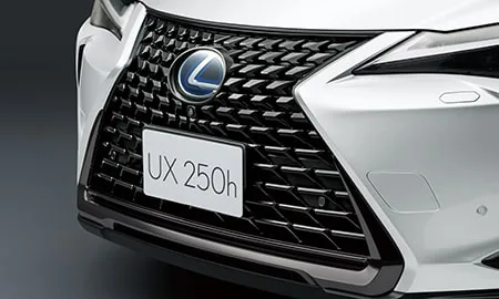 Lexus UX250H ELEGANT BLACK (MZAH10)