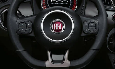 Fiat 500S PLUS (31209)