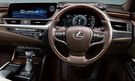 Lexus ES300H VERSION L (AXZH10)