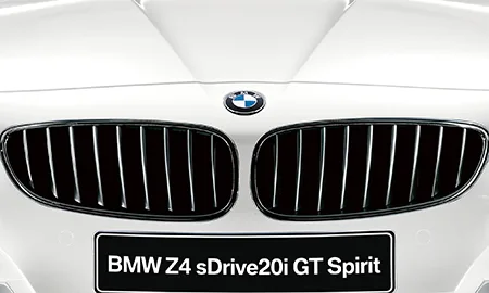 Bmw Z4 S DRIVE 20I GT SPIRIT (LL20)