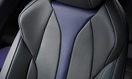 Lexus UX250H F SPORT STYLE BLUE (MZAH10)