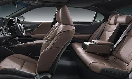 Lexus ES300H VERSION L (AXZH11)