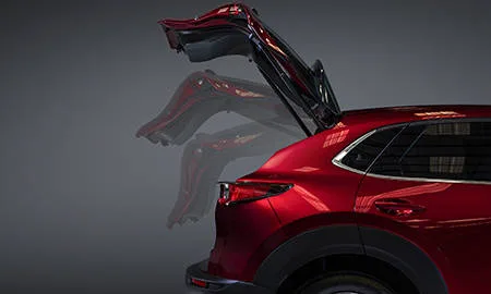 Mazda CX30 20S PROACTIVE (DMEP)