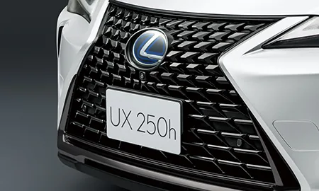 Lexus UX200 URBAN ELEGANCE (MZAA10)