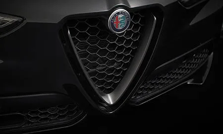 Alfa Romeo Stelvio 2.0 TURBO Q4 MONOCHROME EDITION (94920 / 94929)