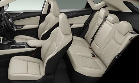 Lexus NX350 OVERTRAIL (TAZA25)