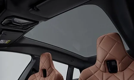 Bmw IX X DRIVE 60 M SPORT (22CF89A)