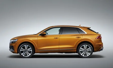 Audi Q8 55TFSI QUATTRO (F1DCBS)
