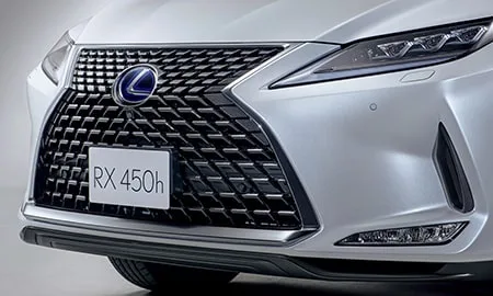 Lexus RX300 BLACK TOURER (AGL20W)