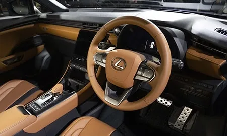Lexus Lbx MORIZO RR ORIGINAL EDITION (GAYA16)