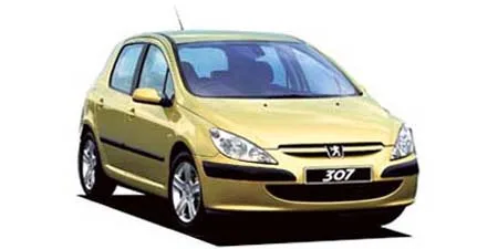 Peugeot 307 XT (T5RFN)