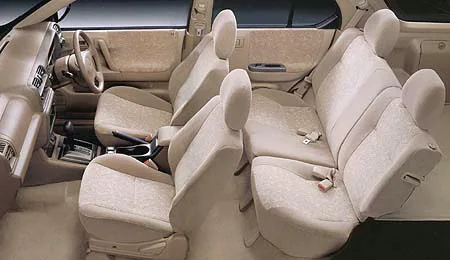Isuzu Wizard LS (UES73FW)