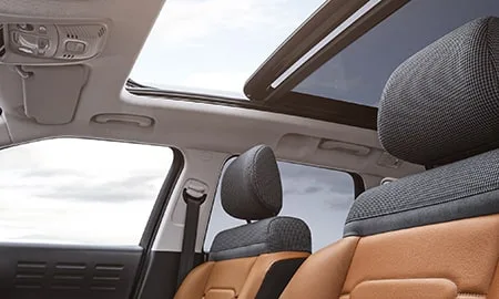 Citroen C3 Aircross CUIR (A8HN05)