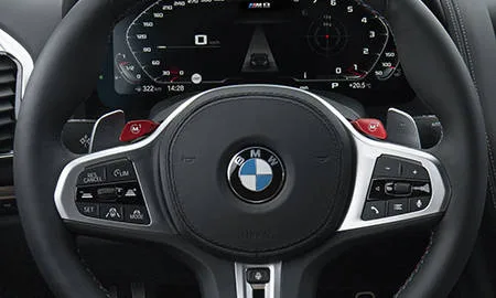 Bmw M8 COUPE COMPETITION (AE44M)