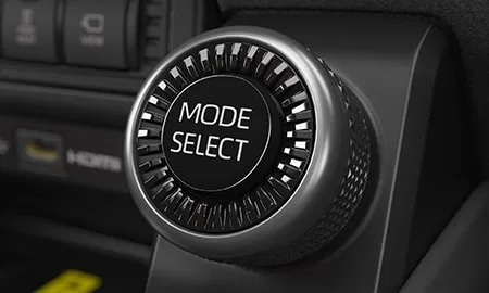 Toyota Land Cruiser 250 GX (GDJ250W)
