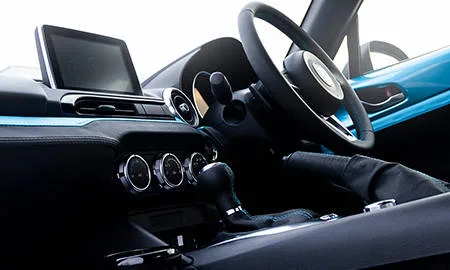 Mitsuoka Rock Star S SPECIAL PACKAGE ()