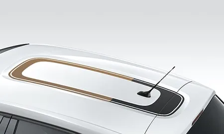 Citroen C3 INSPIRED BY JAPAN COLLECTION (B6HN05)