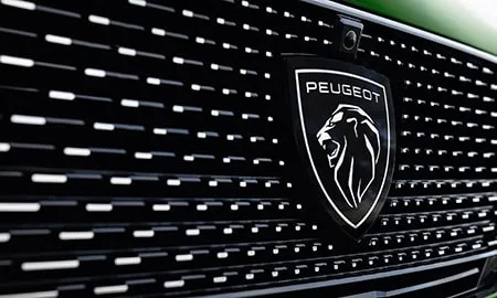 Peugeot 308 GT PLUG-IN HYBRID (P51YH01 / P515G06H)