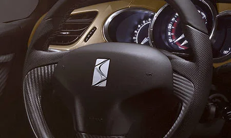 Citroen DS3 PERFORMANCE BLACK SPECIAL (A5X5G04)